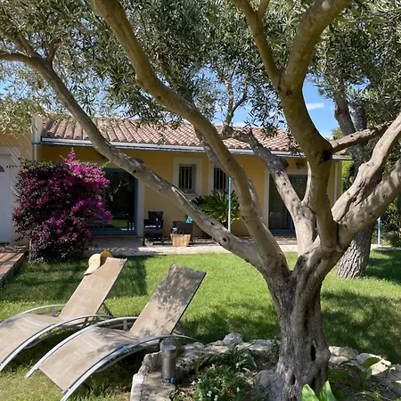 D'hotes Du Moulin Bed & Breakfast *