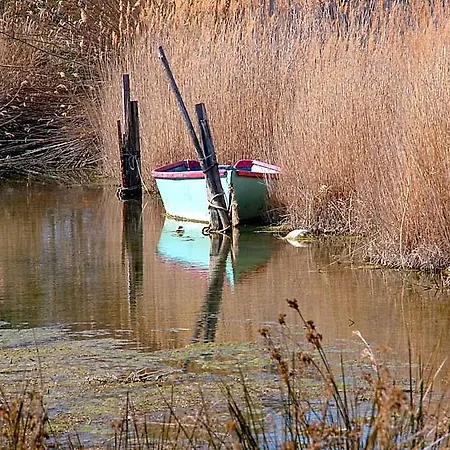 D'hotes Du Moulin